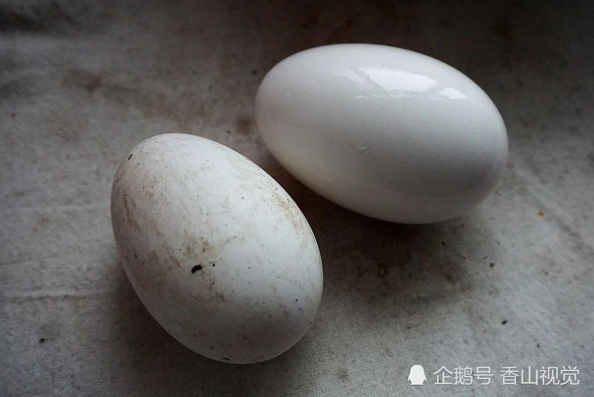 母親給女兒做的這盤菜 花了一個月的時間 6 母親給女兒做的這盤菜 花了一個月的時間