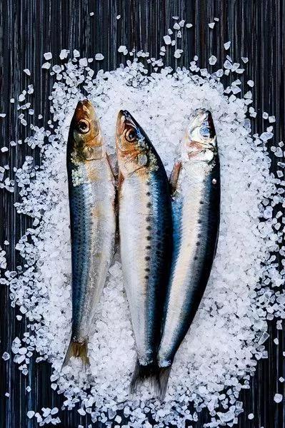 水裡加點這個 生魚放一個月照樣新鮮! 3 水裡加點這個 生魚放一個月照樣新鮮!