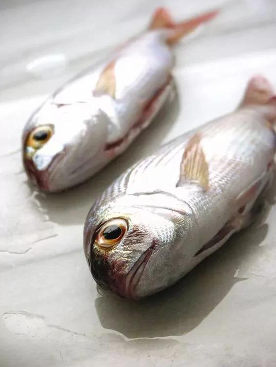 水裡加點這個 生魚放一個月照樣新鮮! 5 水裡加點這個 生魚放一個月照樣新鮮!