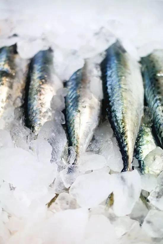 水裡加點這個 生魚放一個月照樣新鮮! 6 水裡加點這個 生魚放一個月照樣新鮮!