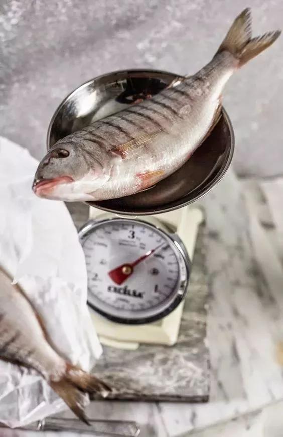 水裡加點這個 生魚放一個月照樣新鮮! 10 水裡加點這個 生魚放一個月照樣新鮮!