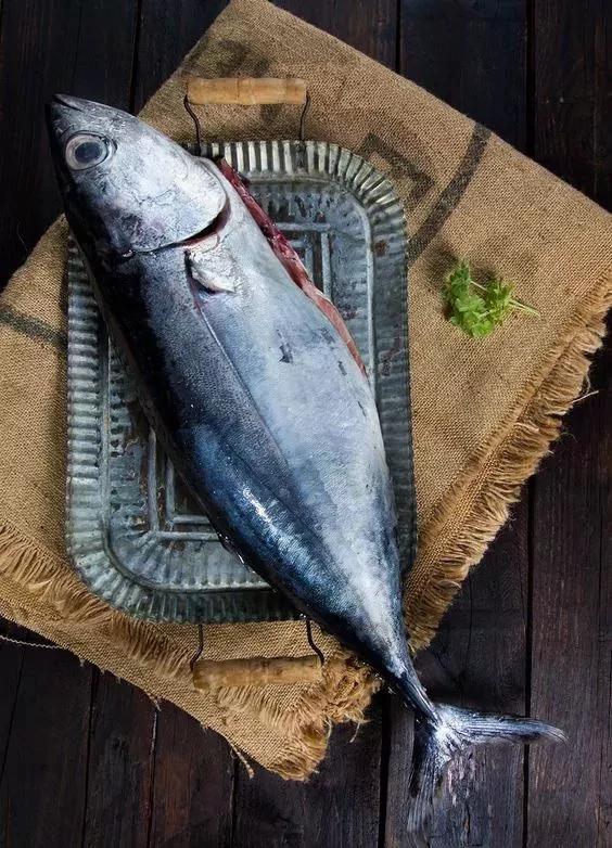 水裡加點這個 生魚放一個月照樣新鮮! 14 水裡加點這個 生魚放一個月照樣新鮮!