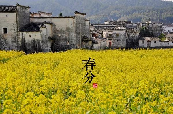 中國古典藝術風 24節氣攝影