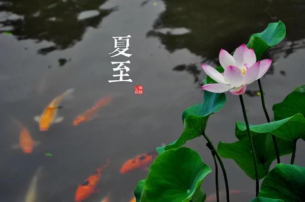 中國古典藝術風 24節氣攝影