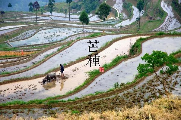 中國古典藝術風 24節氣攝影