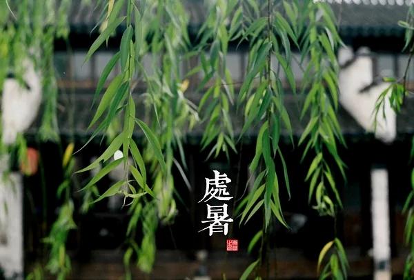 中國古典藝術風 24節氣攝影