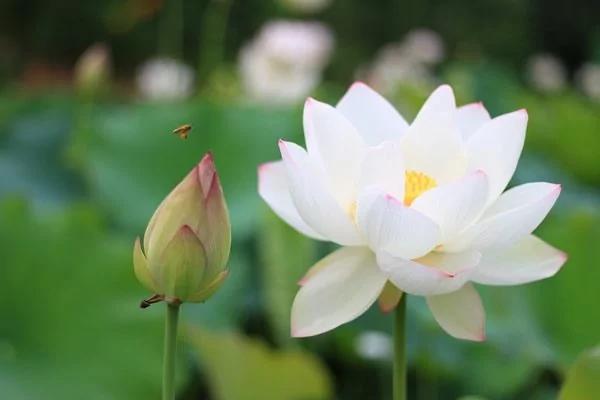 孟子的10個為人處世準則 過年讀新的一年將有質的突變！