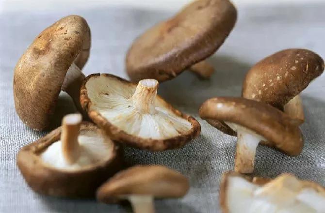 你家餐桌上的4種食物 是專家眼中的「抗癌良藥」 3 你家餐桌上的4種食物 是專家眼中的「抗癌良藥」