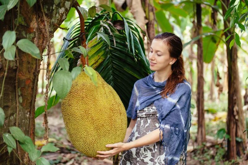 免除饑荒之苦?「神奇」水果像豬肉口味 2 免除饑荒之苦?「神奇」水果像豬肉口味