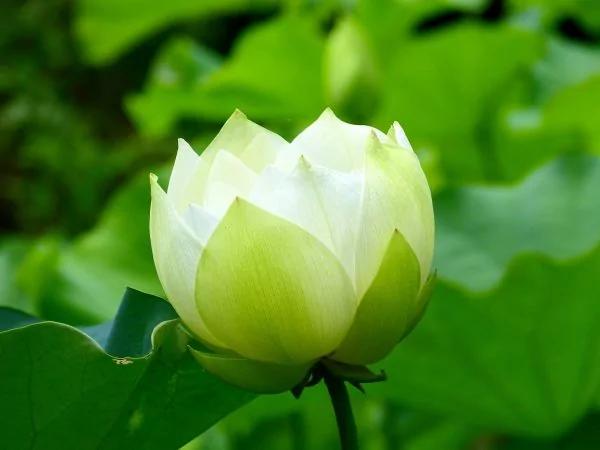 唐太宗:最高級的教養 是和顏悅色 7 唐太宗:最高級的教養 是和顏悅色