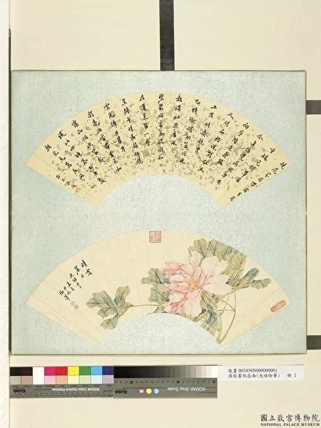 為什麼牡丹自古有「國色天香」的美稱? 5 為什麼牡丹自古有「國色天香」的美稱?