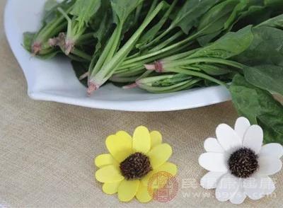 菠菜不能和什麼一起吃 菠菜竟有這種功效