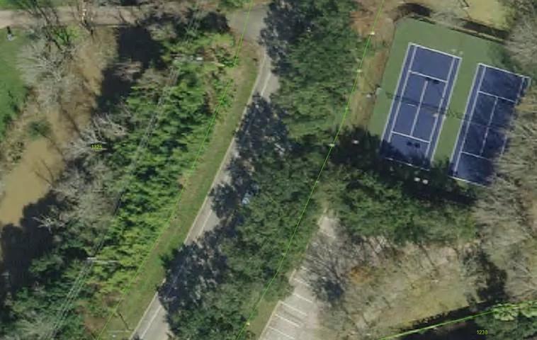 阻不住華人蜂擁來挖筍 得州屋主氣到掏槍 2 阻不住華人蜂擁來挖筍 得州屋主氣到掏槍