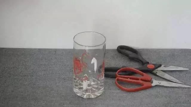 剪刀生鏽變鈍了怎麼辦？用它泡一泡 剪刀快速除銹變鋒利