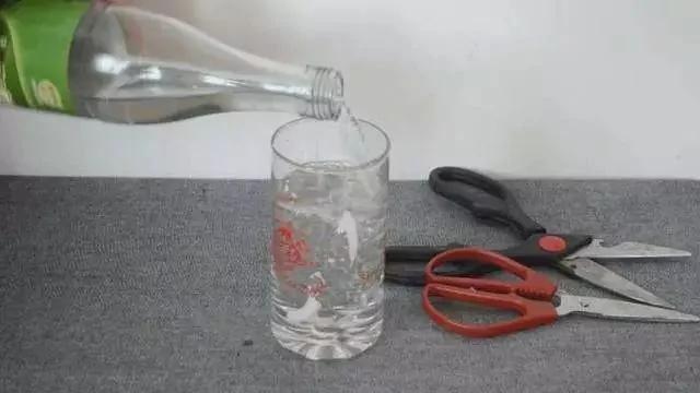 剪刀生鏽變鈍了怎麼辦？用它泡一泡 剪刀快速除銹變鋒利