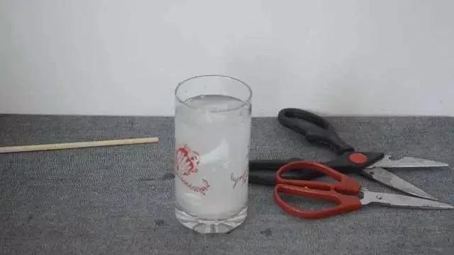 剪刀生鏽變鈍了怎麼辦？用它泡一泡 剪刀快速除銹變鋒利
