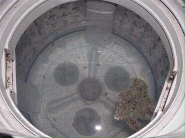 洗衣機60天不洗 細菌比馬桶還多！教你一個小方法 1年不用清洗都很乾凈