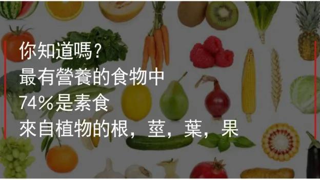 世界上最有營養的10種食材 2 世界上最有營養的10種食材