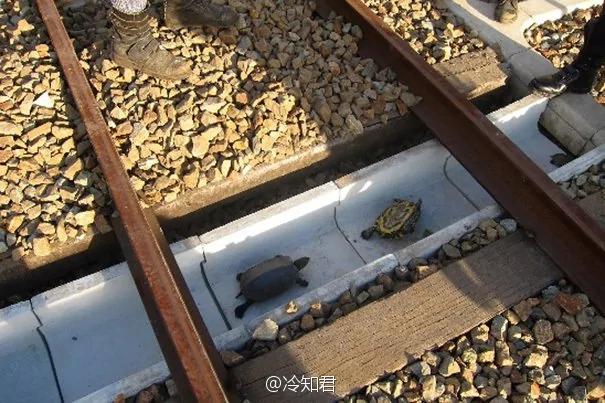 【揭秘】與億萬人民的領袖三十八年共患難 卻遭現場一片笑 她是誰