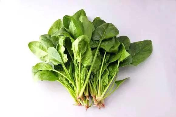 男人一輩子都該吃的兩種食物！家裡的頂樑柱都看看