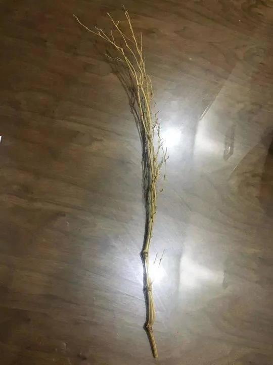 二胎夫妻曬出一張"分工表" 朋友圈炸鍋：太拼了