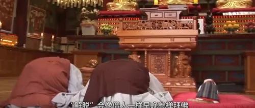 神奇「寺院貓」每天虔誠禮佛吃素不殺生！