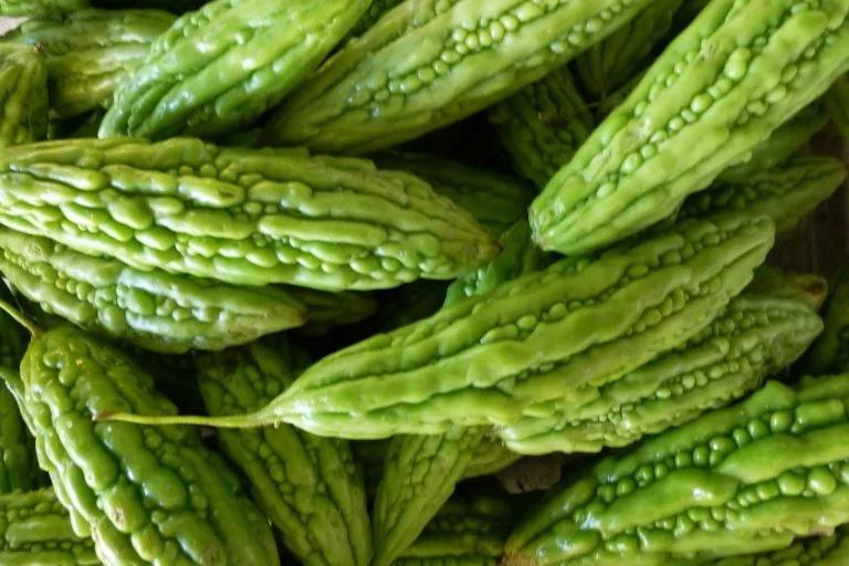 它的維生素C含量是蘋果17倍 研究稱縮小癌腫瘤64% 5 它的維生素C含量是蘋果17倍 研究稱縮小癌腫瘤64%