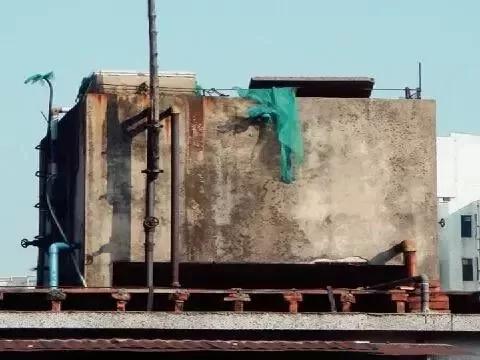 女子刷牙水龍頭裡流出恐怖東西 家人被這一幕驚呆
