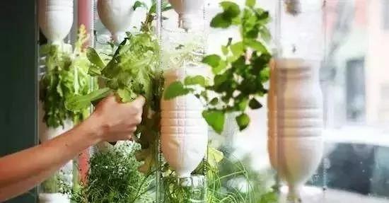 用一點「食鹽」和「醋」就能解決的事 別再花冤枉錢了 2 用一點「食鹽」和「醋」就能解決的事 別再花冤枉錢了