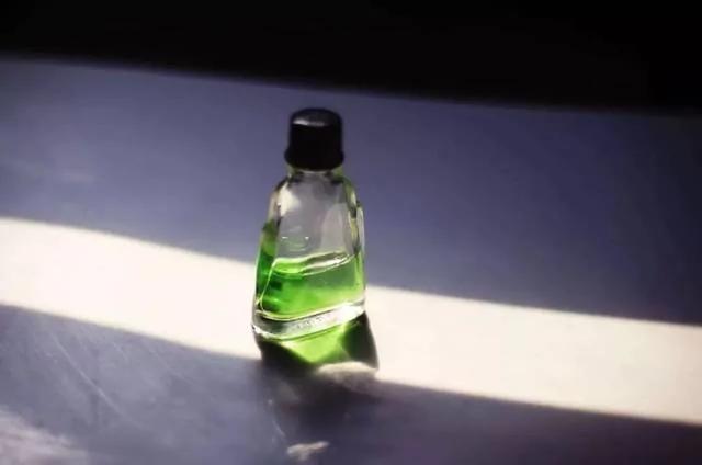 蚊蟲季快來了！最全防蚊滅小強攻略在此