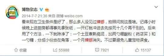 蚊蟲季快來了！最全防蚊滅小強攻略在此