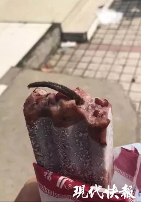 太噁心!吃冰棍咬出一截老鼠尾巴!美女怒了 3 太噁心!吃冰棍咬出一截老鼠尾巴!美女怒了