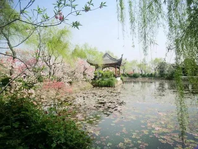流傳千古的名句背後 都有一個被「致敬」的原作 8 流傳千古的名句背後 都有一個被「致敬」的原作