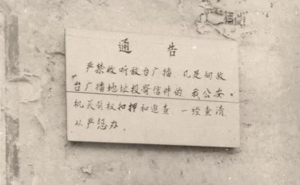 【老照片】學毛一樣橫渡長江的人 很多死於一種“殺人暗器”