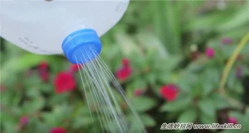 巧用喝剩下來的牛奶瓶製作園藝用品