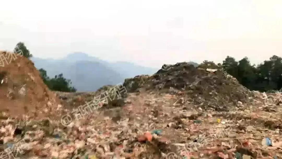 熱帖：被錢逼瘋的中國人 已喪盡天良！