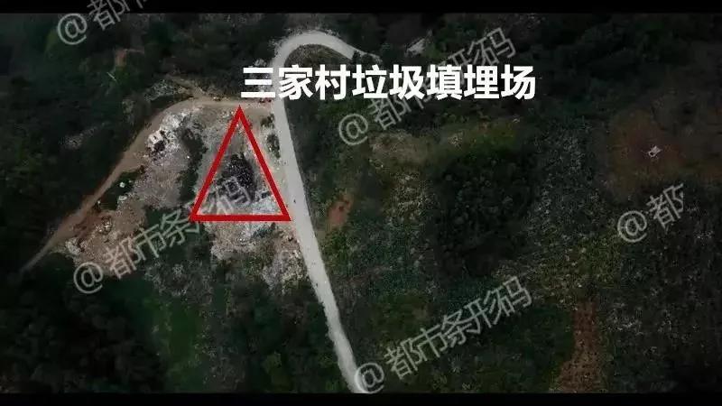 熱帖：被錢逼瘋的中國人 已喪盡天良！