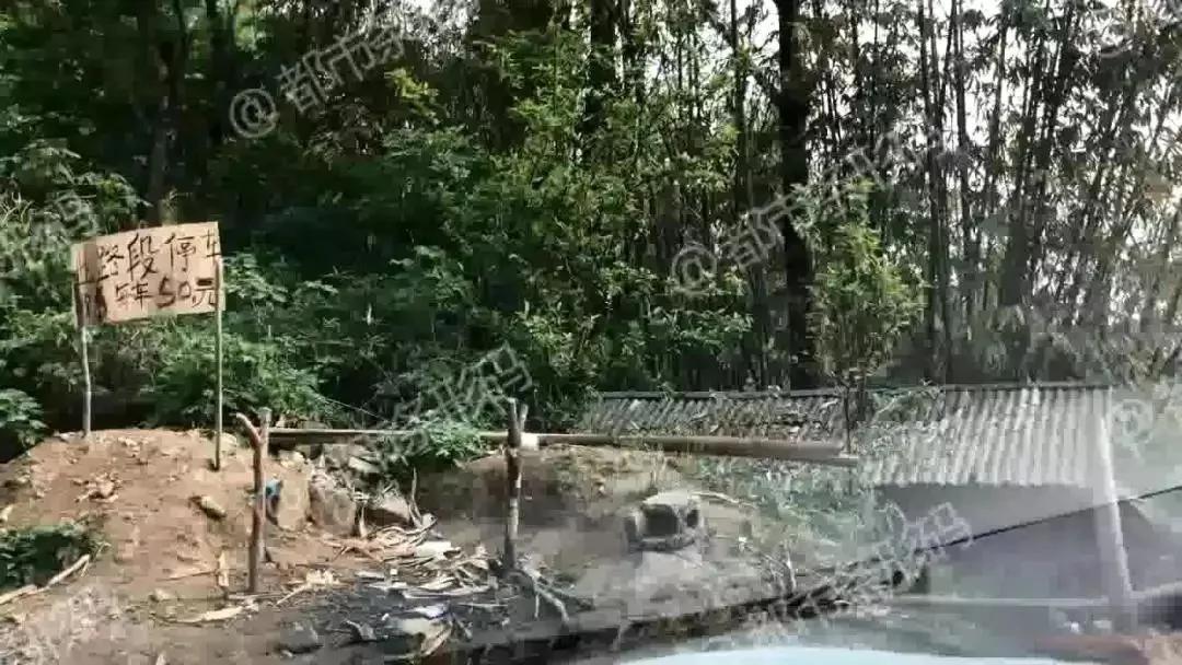 熱帖：被錢逼瘋的中國人 已喪盡天良！