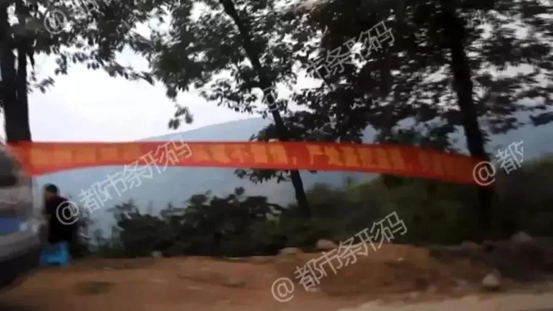熱帖：被錢逼瘋的中國人 已喪盡天良！