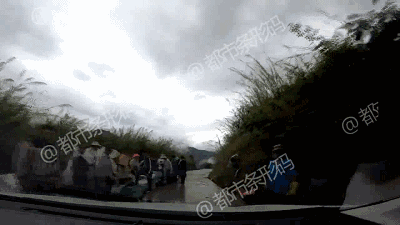 熱帖：被錢逼瘋的中國人 已喪盡天良！