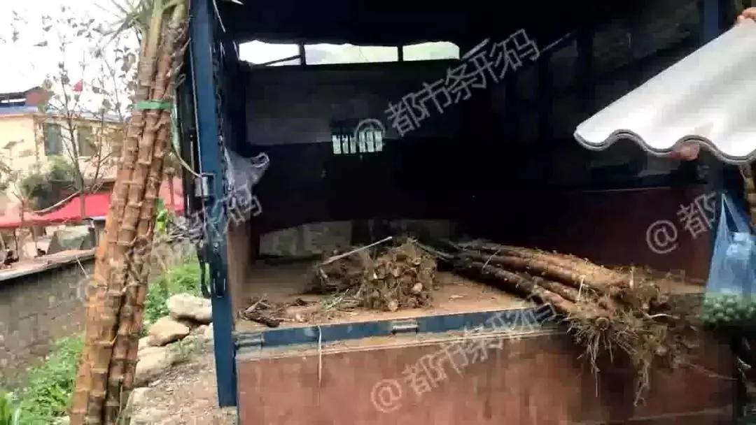 熱帖：被錢逼瘋的中國人 已喪盡天良！