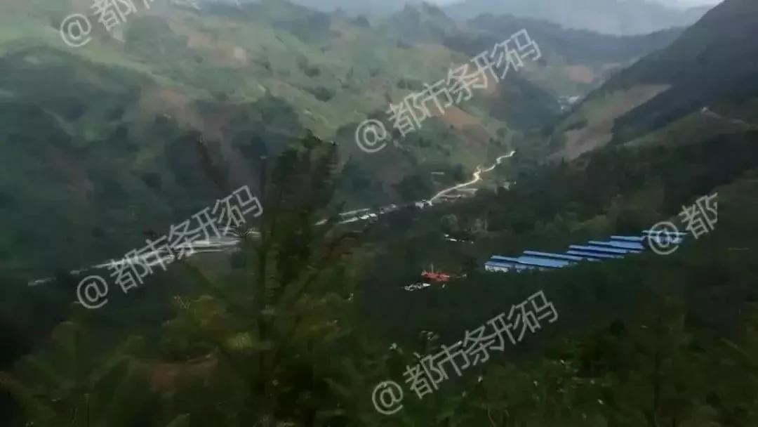 熱帖：被錢逼瘋的中國人 已喪盡天良！