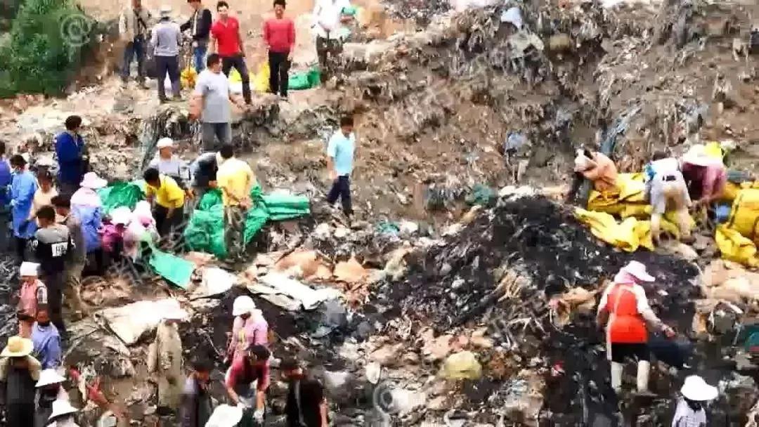 熱帖：被錢逼瘋的中國人 已喪盡天良！