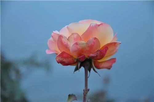 夫妻緣盡 難逃3個徵兆 很准！