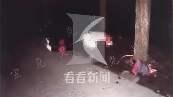 女司機無證駕駛撞死人 2年後獲駕照再撞死人! 3 女司機無證駕駛撞死人 2年後獲駕照再撞死人!