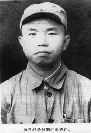 “王树声”的图片搜索结果