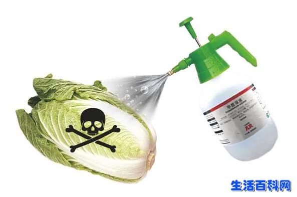“甲醛”泡白菜是行业潜规则？冬季选白菜需警惕！