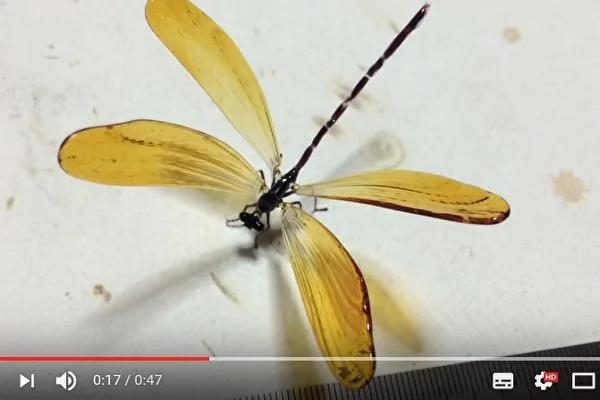日本艺术家角田夕贵以玻璃制作的昆虫作品,看起来就像真的一样。(视频撷图)