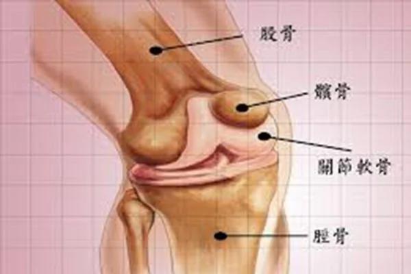 关节响,是有什么疾病吗?(网络)