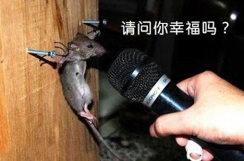 CCTV新闻联播的惊人发现！（图片来源：微博撷图）